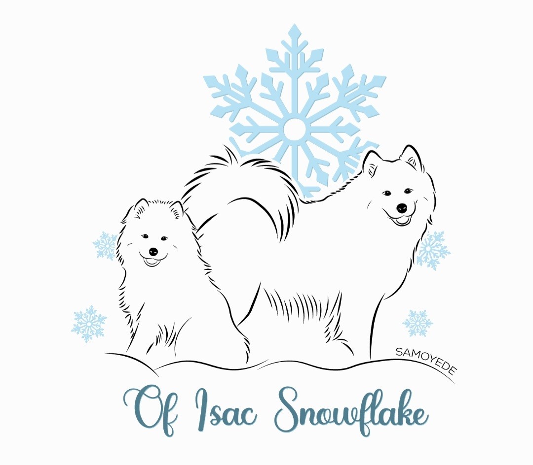 Of Isac Snowflake